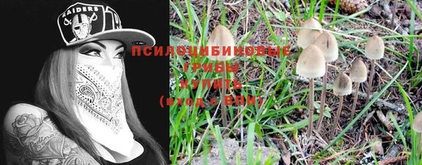 прущие крисы Беломорск