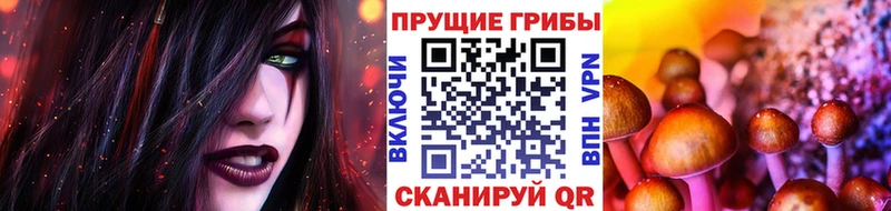 omg вход  Елабуга  Галлюциногенные грибы прущие грибы  нарко площадка состав  наркотики 